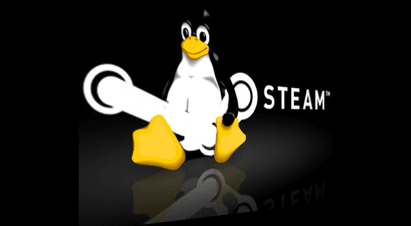 steam linux mint