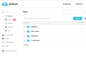 pcloud backup